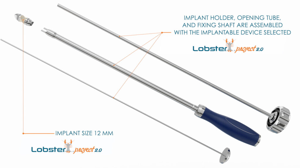 Lobster12